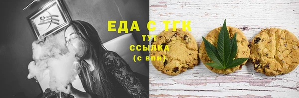 индика Арсеньев