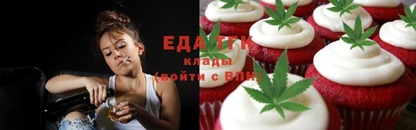 твердый Заводоуковск