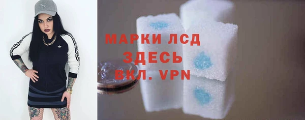 индика Арсеньев