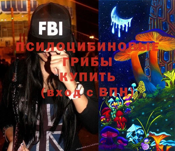 прущие грибы Баксан