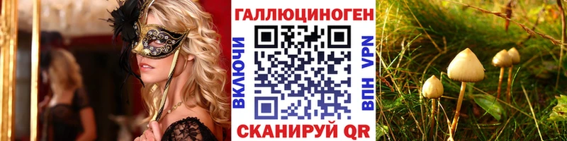 наркотики  Красноперекопск  Псилоцибиновые грибы мицелий 